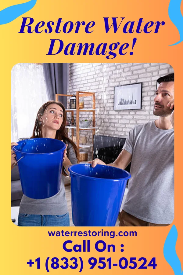 water restoration Quality Recovery Masters Brumley