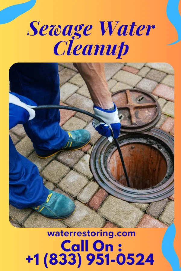 Sewage Water Cleanup in Brumley, MO