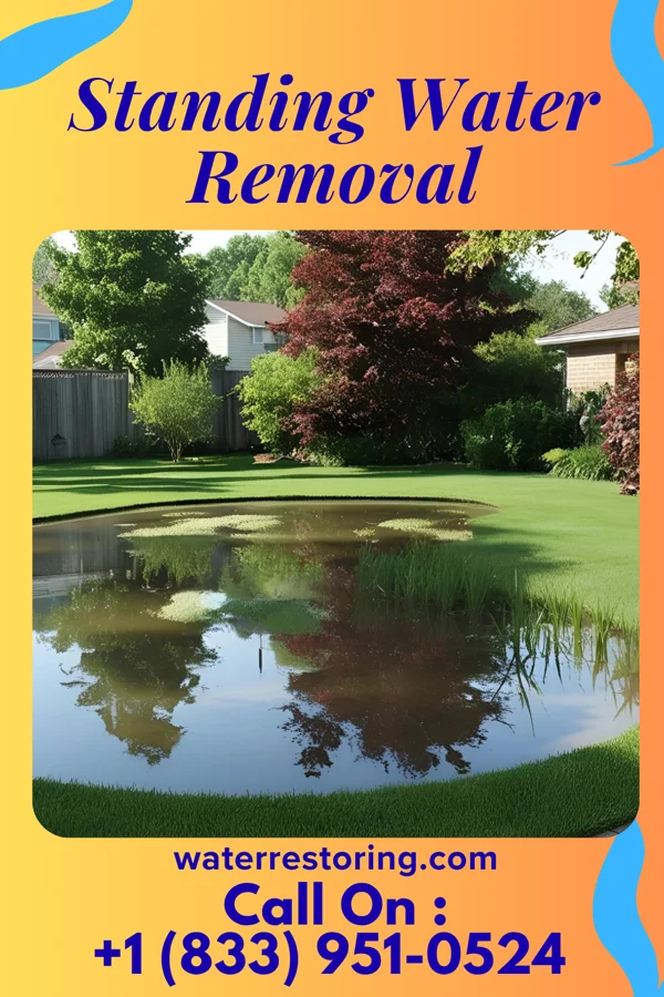 Standing Water Removal in Brumley, MO